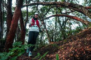 BIB: 
                            <button type="button" onclick="openModal(26344922)" class="btn btn-primary btn-sm float-right btn-popup" data-toggle="modal" data-target=".modal-high-quality">
                        <i class="fas fa-shopping-cart"></i> Add to Cart
                    </button>
                                            <button type="button" onclick="isThisMe(26344922, true)" class="btn btn-success btn-sm float-right btn-popup btn-isme hidden" data-toggle="tooltip" data-placement="bottom" title="นี่คือรูปของคุณใช่ไหม คลิกที่นี่เพื่อเอาเข้าอัลบั้ม">
                        <i class="fas fa-plus"></i> Add to album
                    </button>
                    <button type="button" onclick="isThisMe(26344922, false)" class="btn btn-warning btn-sm float-right btn-popup btn-isnotme hidden">
                        <i class="fas fa-ban"></i> Remove from album
                    </button>